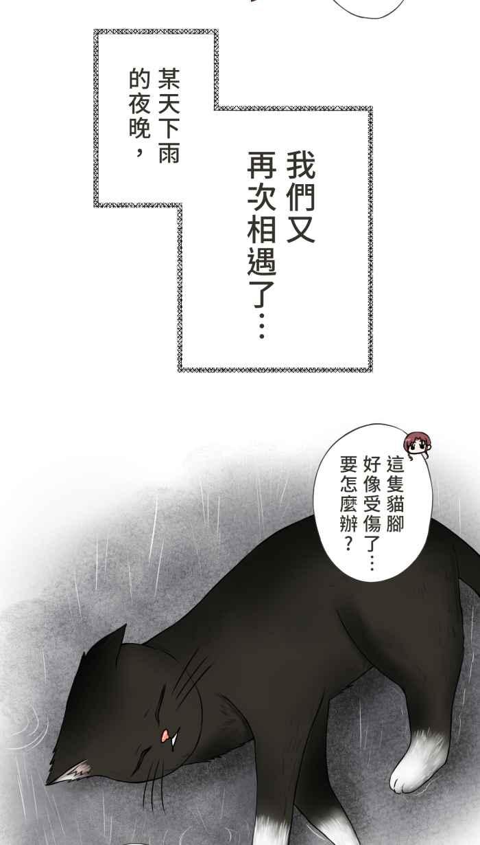 《霸总就爱吃定我》【第8话】招来爱情的白袜黑猫 第27页