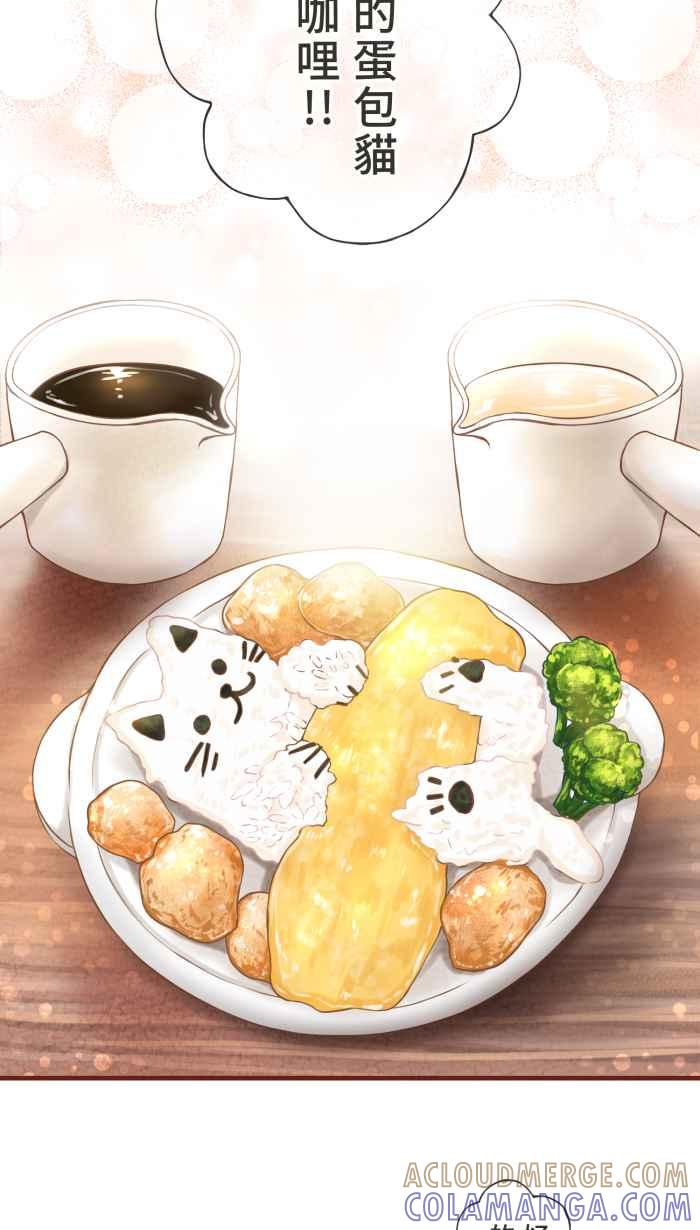 《霸总就爱吃定我》【第8话】招来爱情的白袜黑猫 第13页