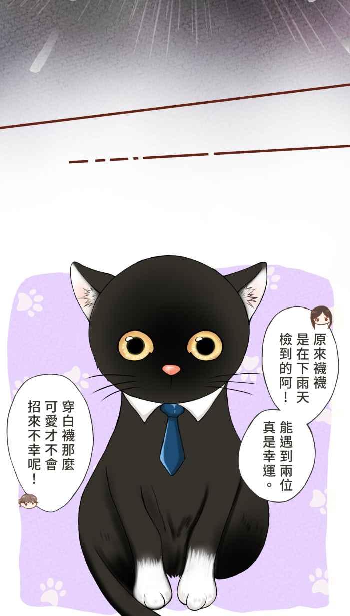 《霸总就爱吃定我》【第8话】招来爱情的白袜黑猫 第35页
