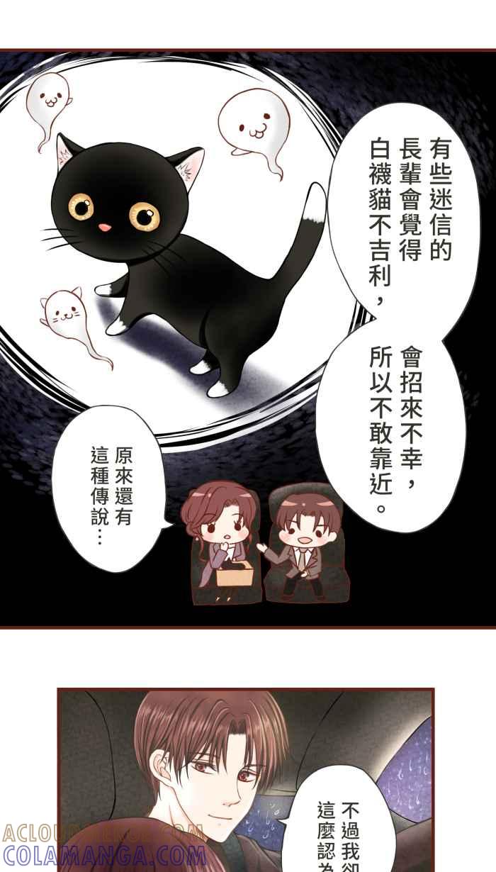 《霸总就爱吃定我》【第8话】招来爱情的白袜黑猫 第31页