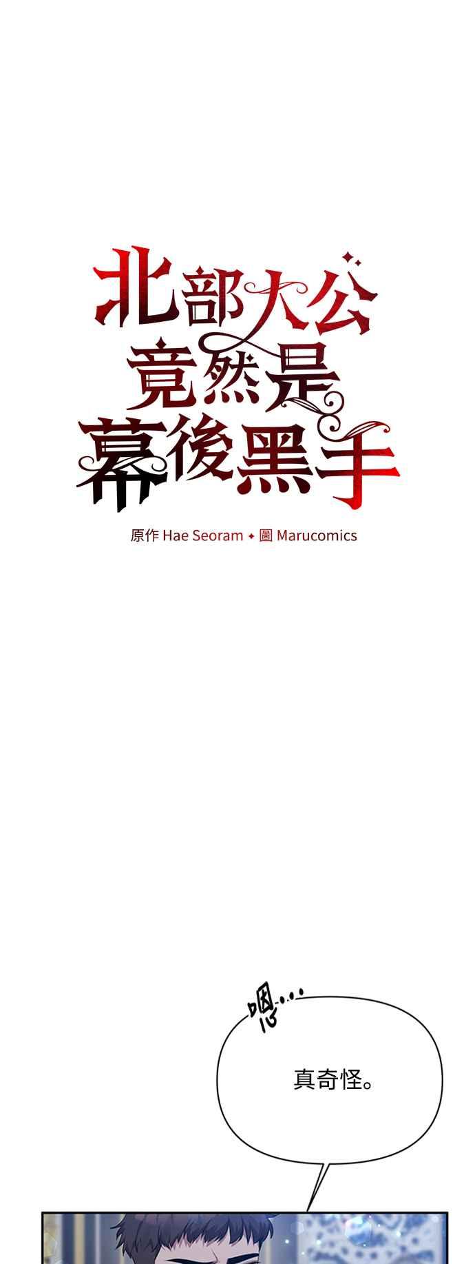 《北部大公竟然是幕后黑手》第6话 第20页