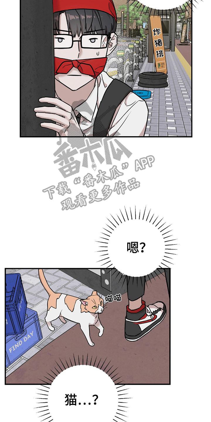 《被不良缠上》第11章：改观 第14页