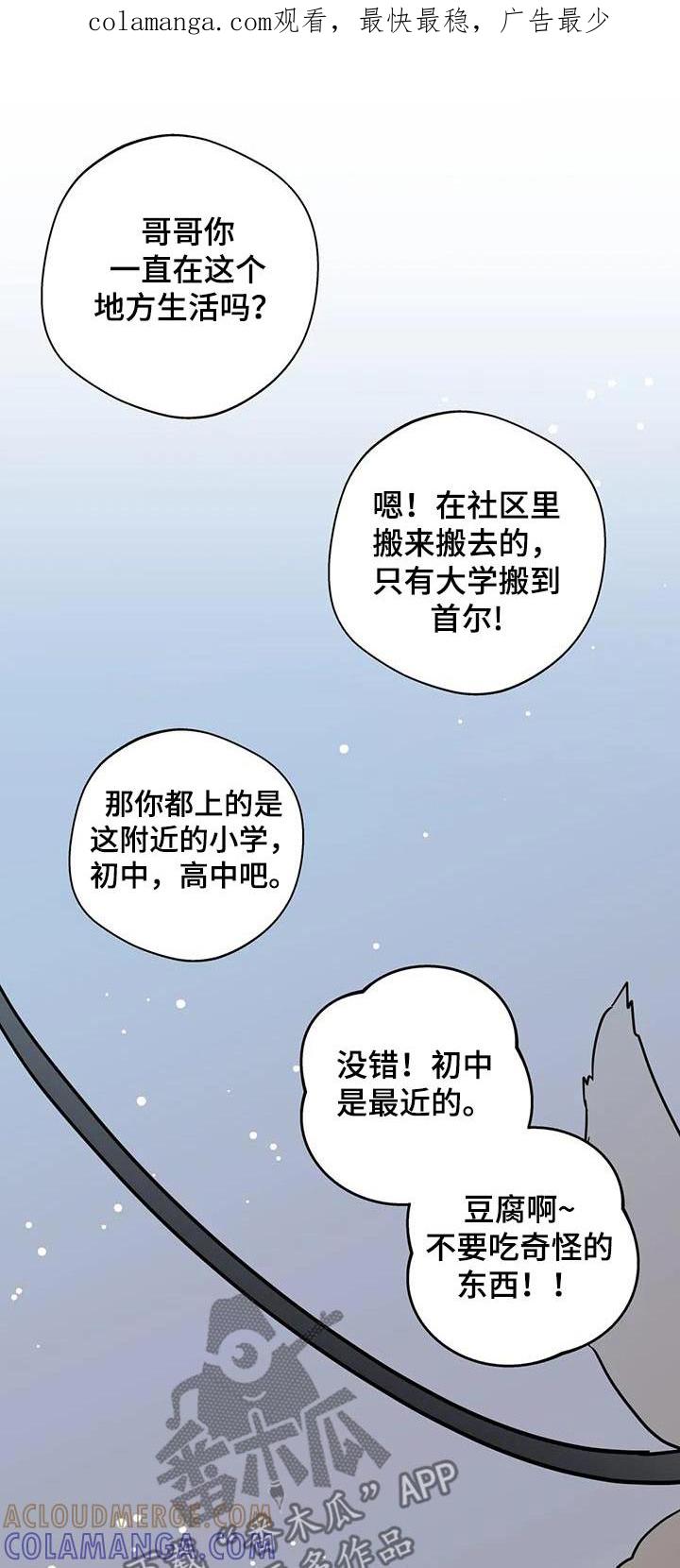 《邻居攻略》第111章：【第三季】相爱没有错 第1页