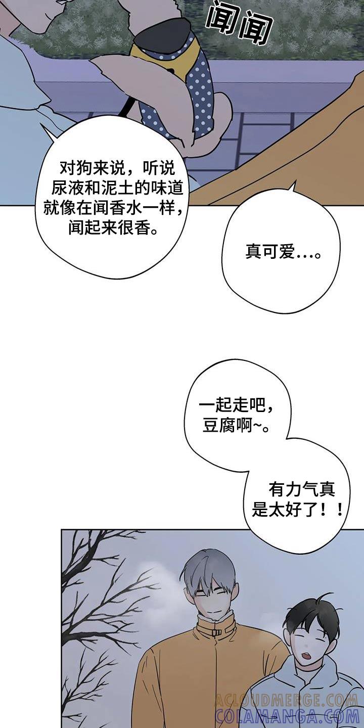 《邻居攻略》第111章：【第三季】相爱没有错 第3页