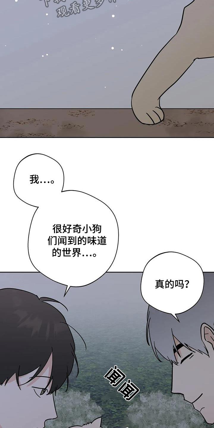《邻居攻略》第111章：【第三季】相爱没有错 第2页