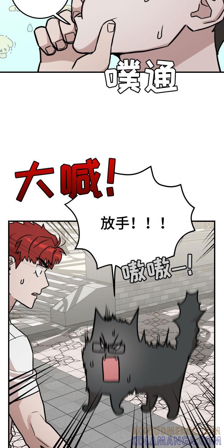 《被不良缠上》第17章：不用担心 第13页