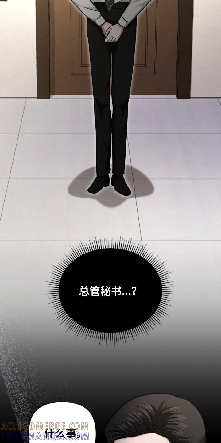 《秘书生存指南》第49章：大事不妙 第25页