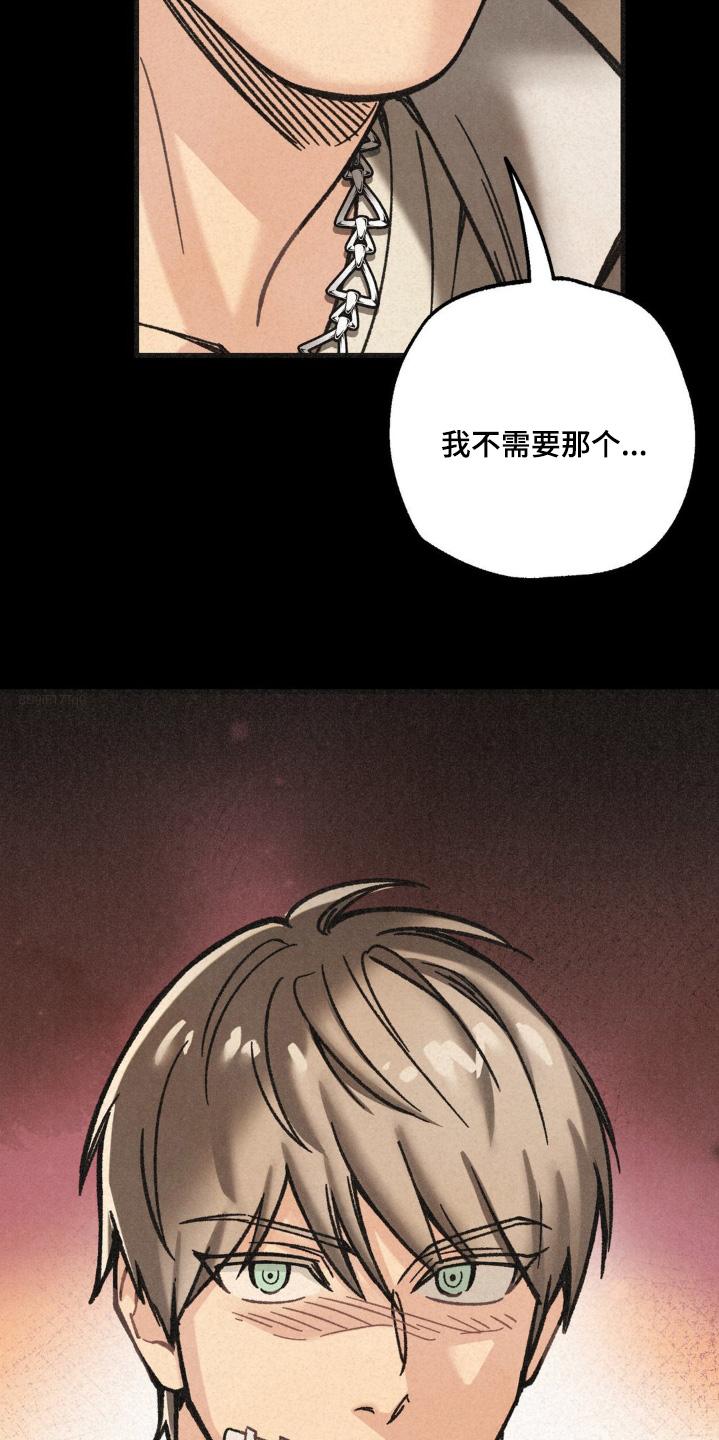 《绝密追缉》第52章：一个要求 第30页