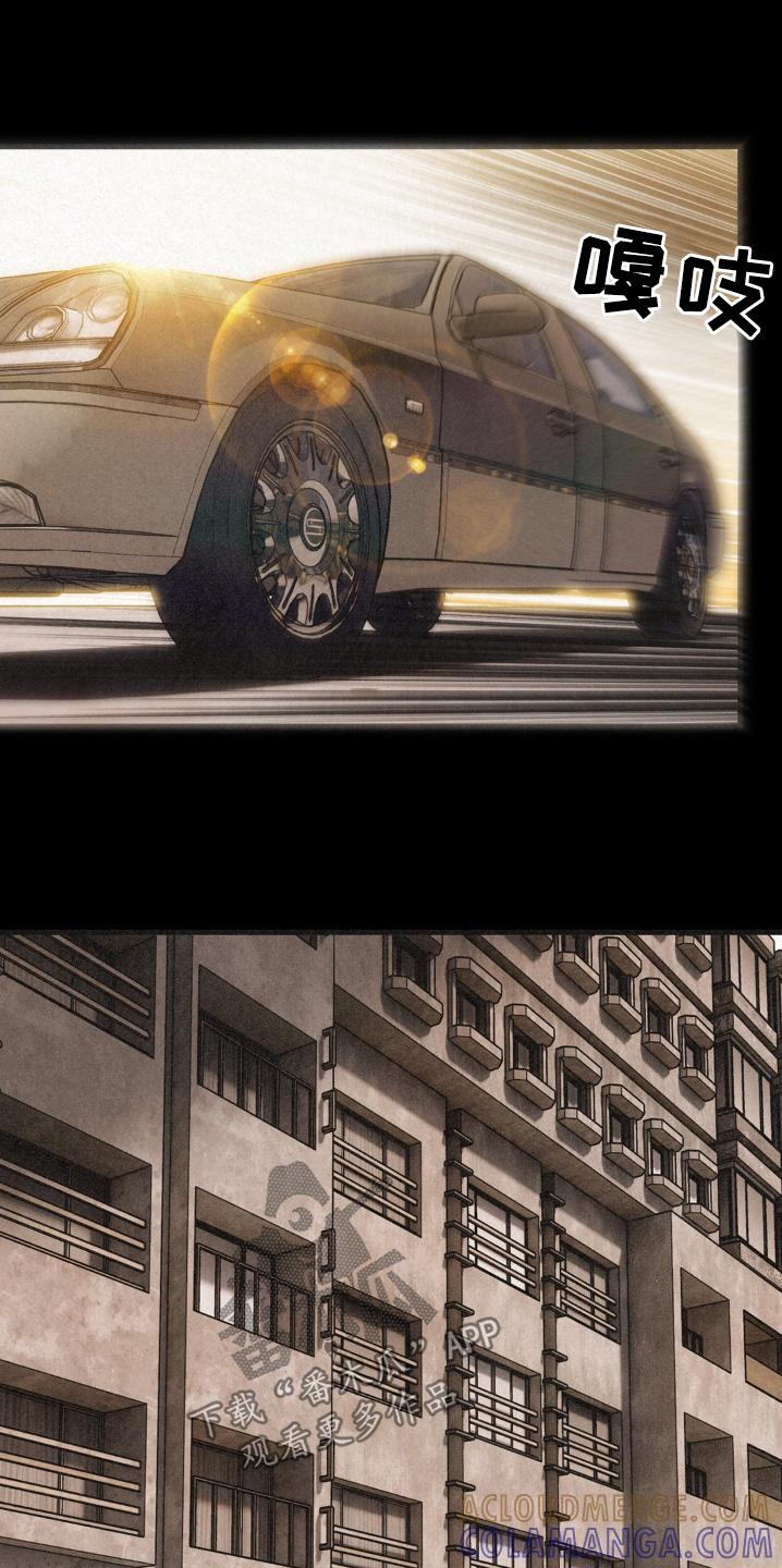 《绝密追缉》第53章：我大哥 第11页