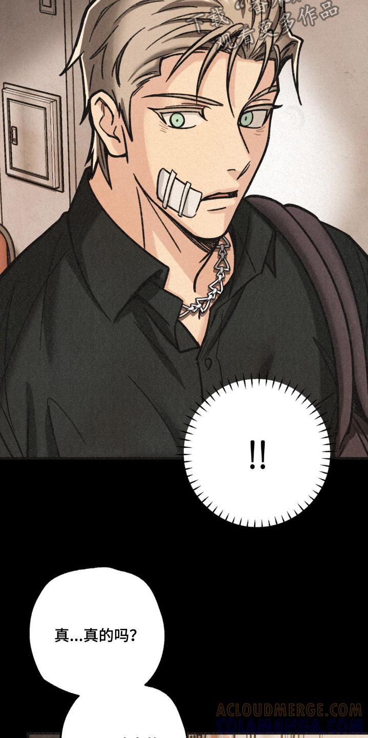 《绝密追缉》第55章：解决了 第3页