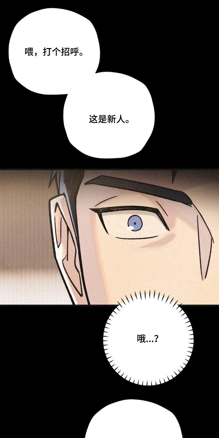 《绝密追缉》第56章：介绍 第12页