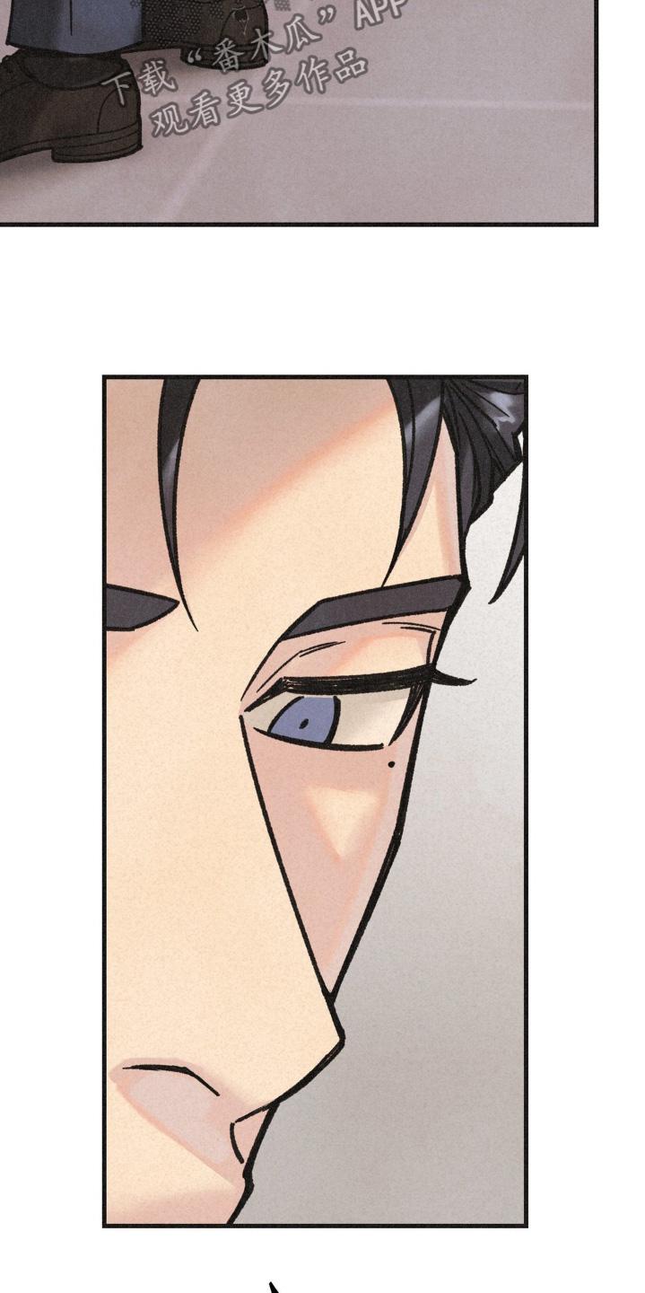 《绝密追缉》第57章：计划 第20页