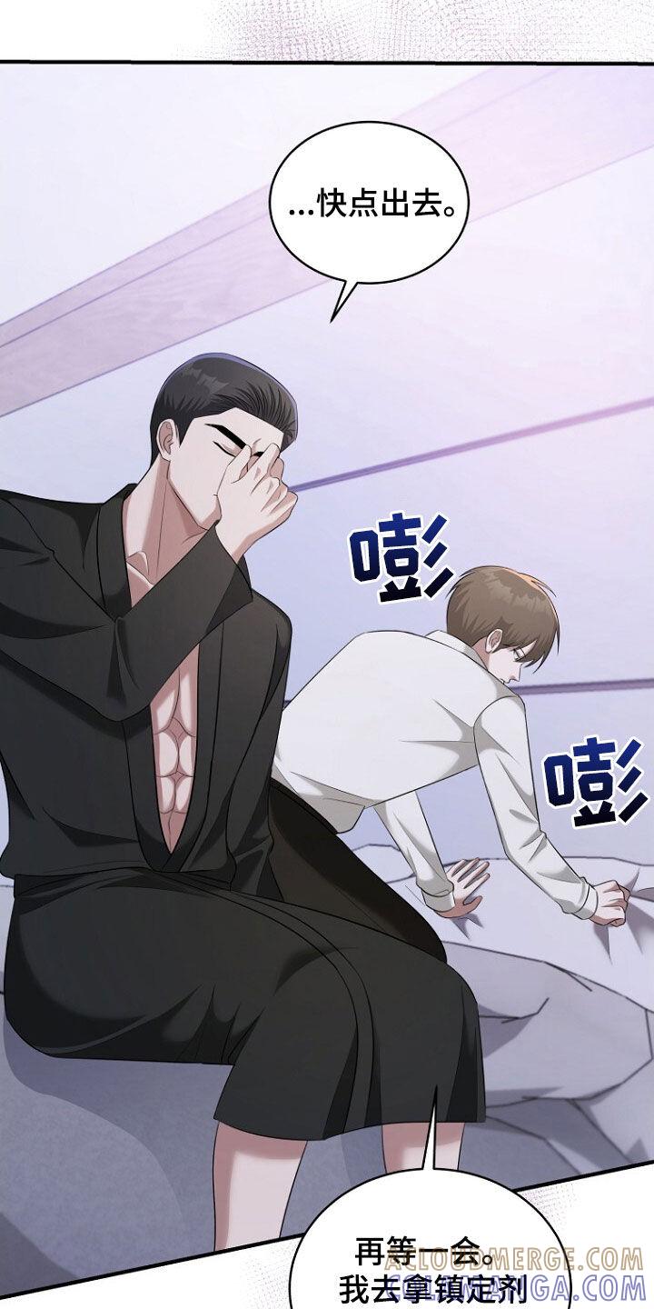 《秘书生存指南》第59章：按照我说的办 第15页
