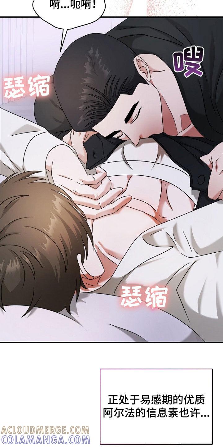 《秘书生存指南》第59章：按照我说的办 第25页