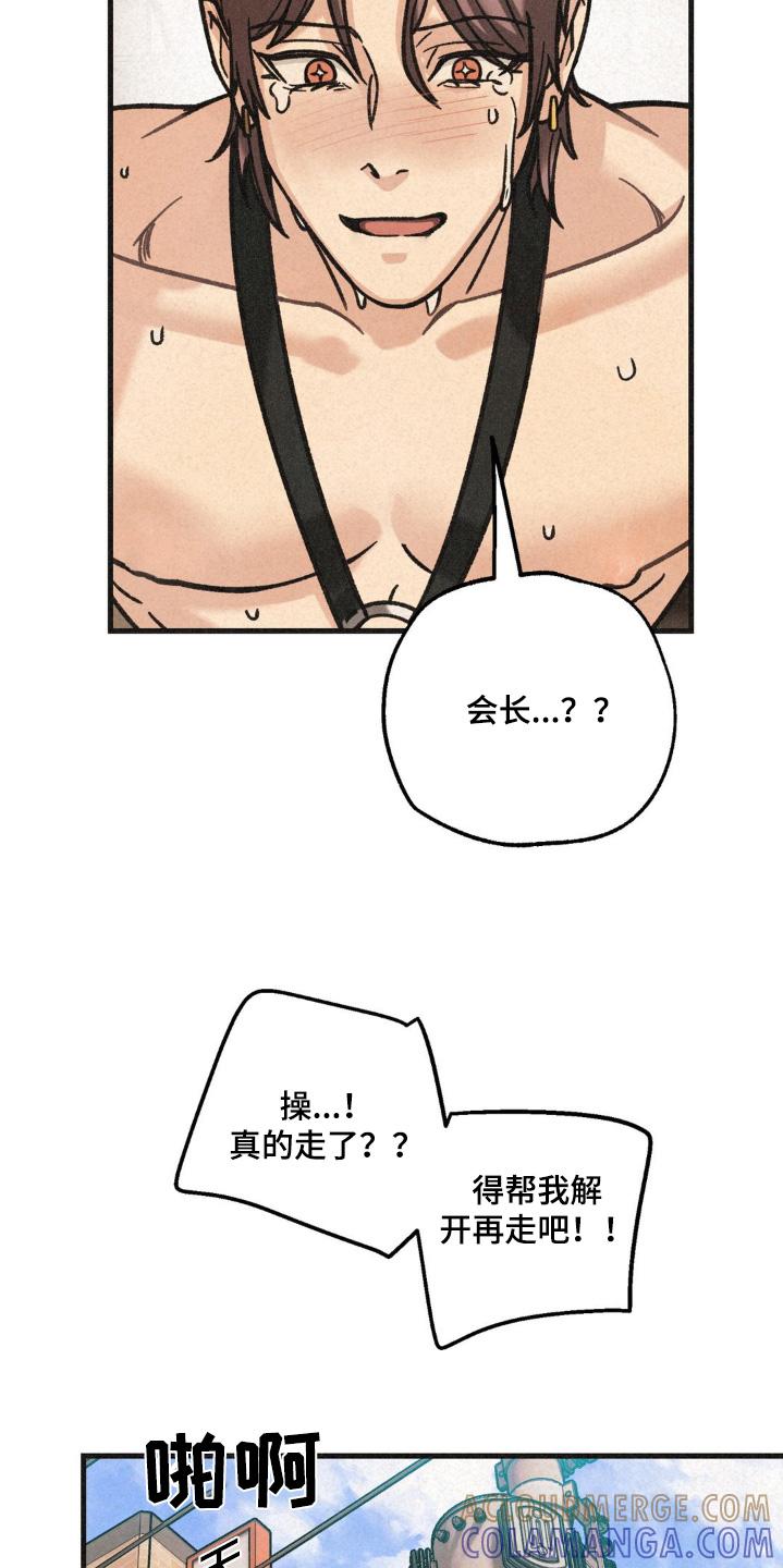 《绝密追缉》第60章：竞争激烈 第11页