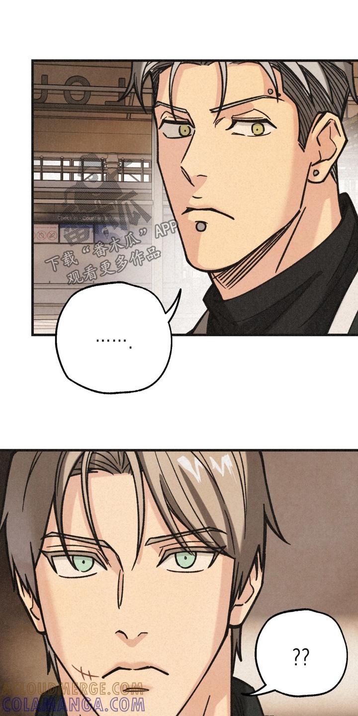 《绝密追缉》第62章：调查 第15页