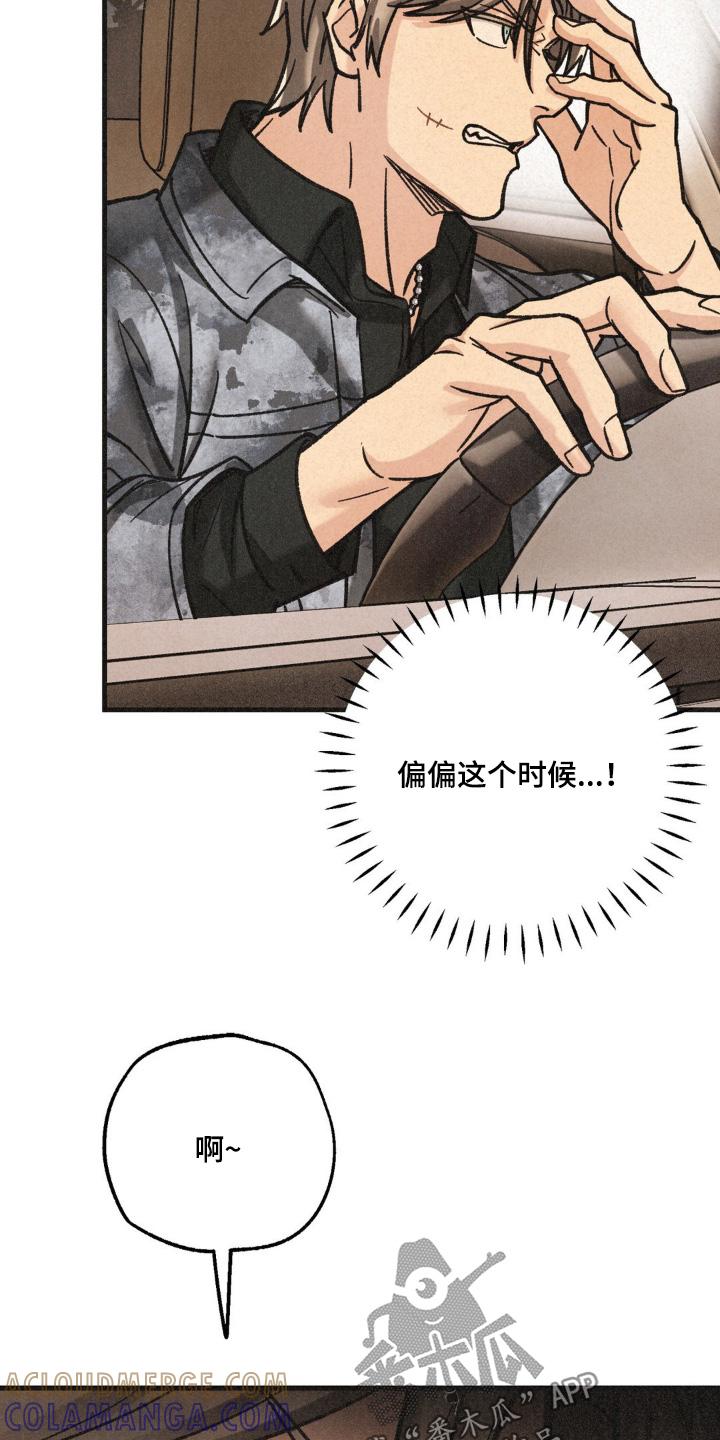 《绝密追缉》第63章：没有第二次 第15页