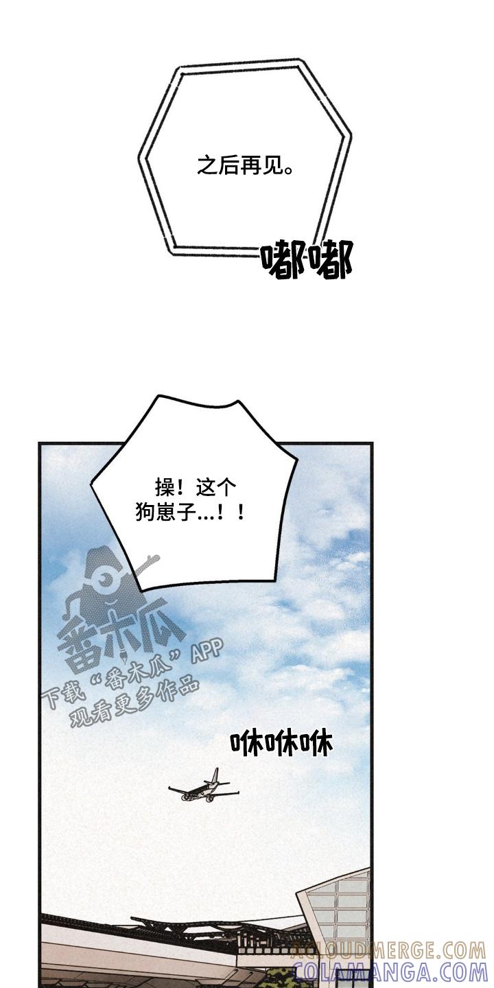 《绝密追缉》第63章：没有第二次 第11页