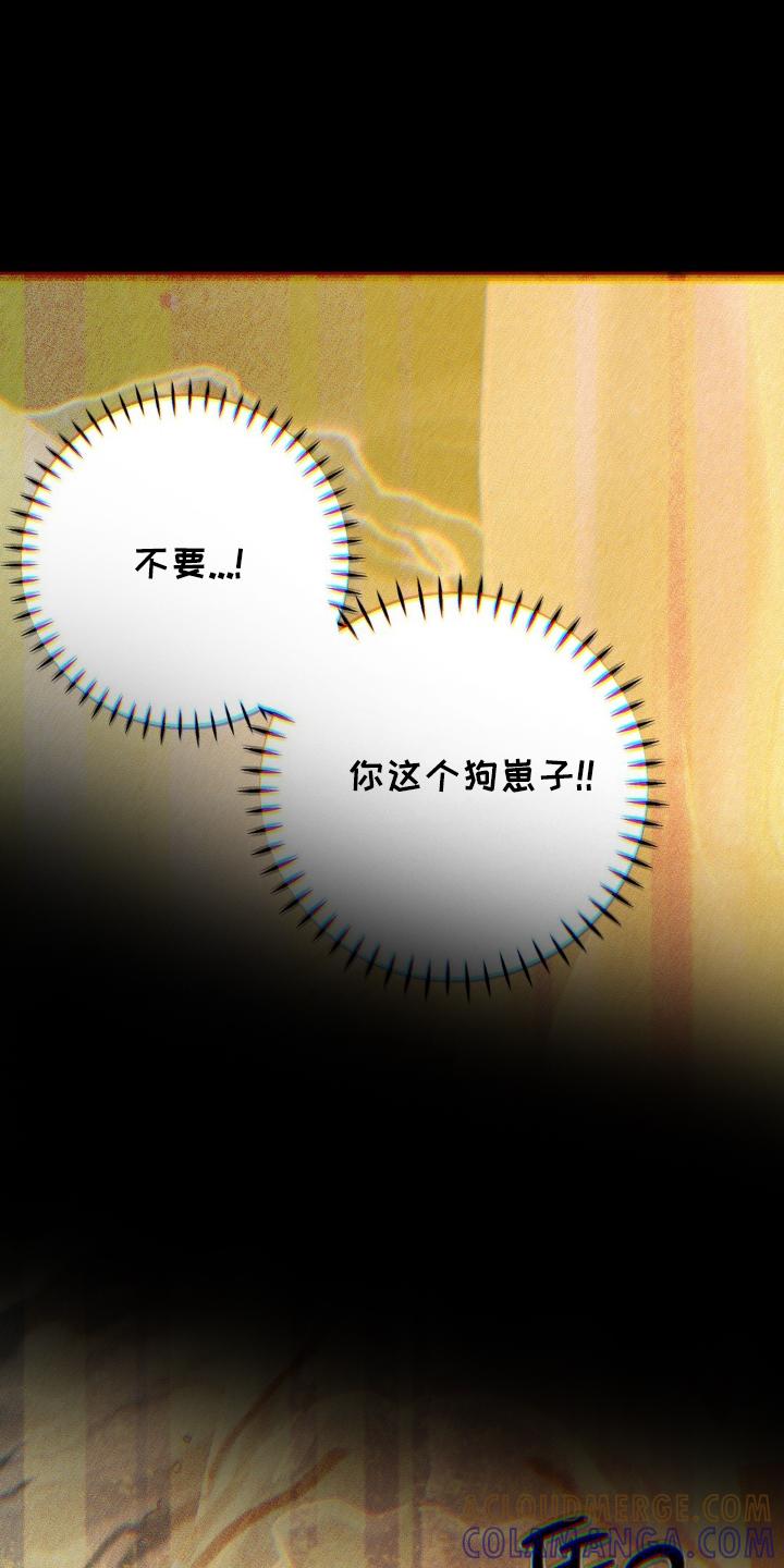 《绝密追缉》第71章：幻觉 第13页
