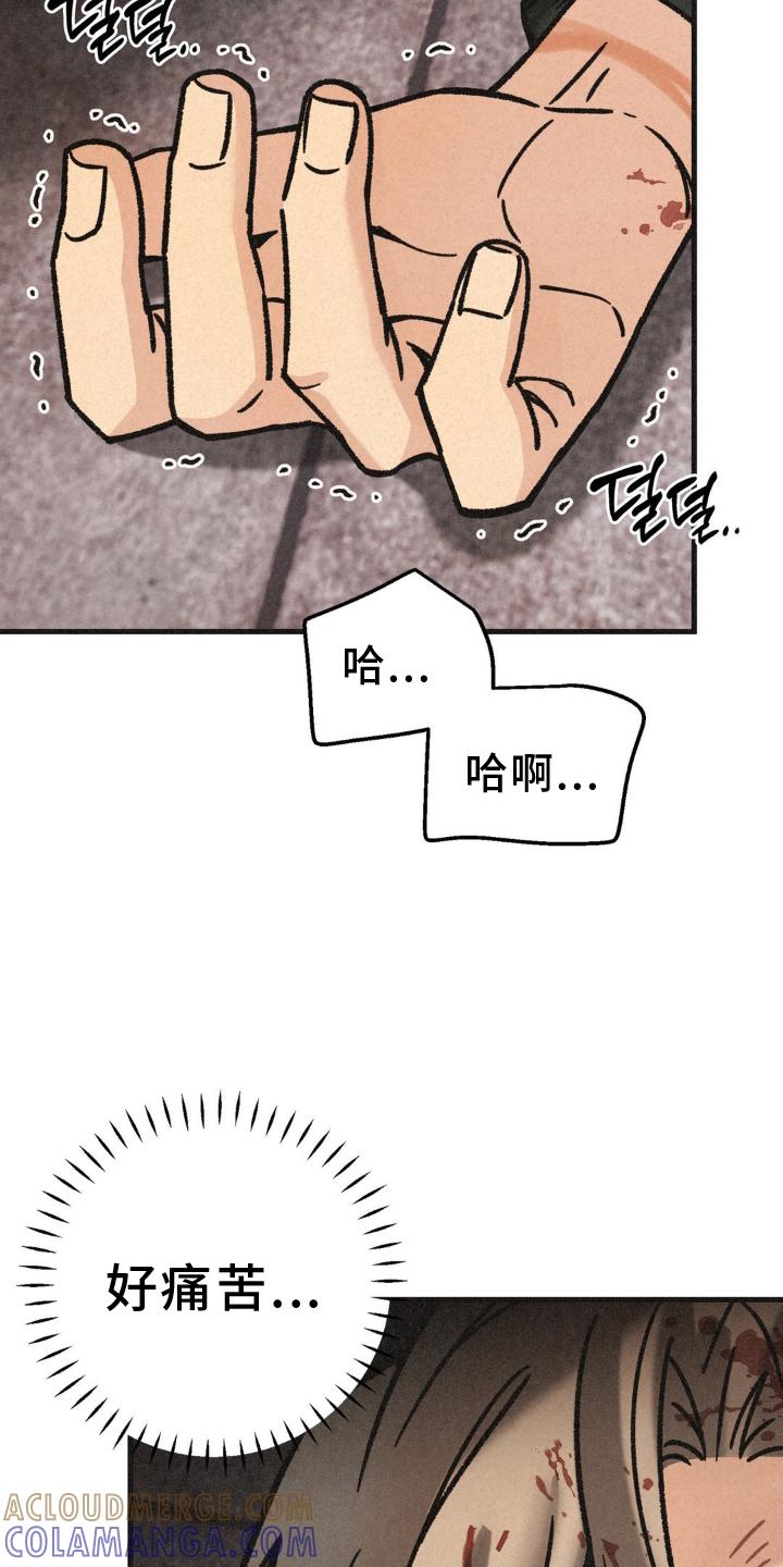 《绝密追缉》第72章：活力 第13页