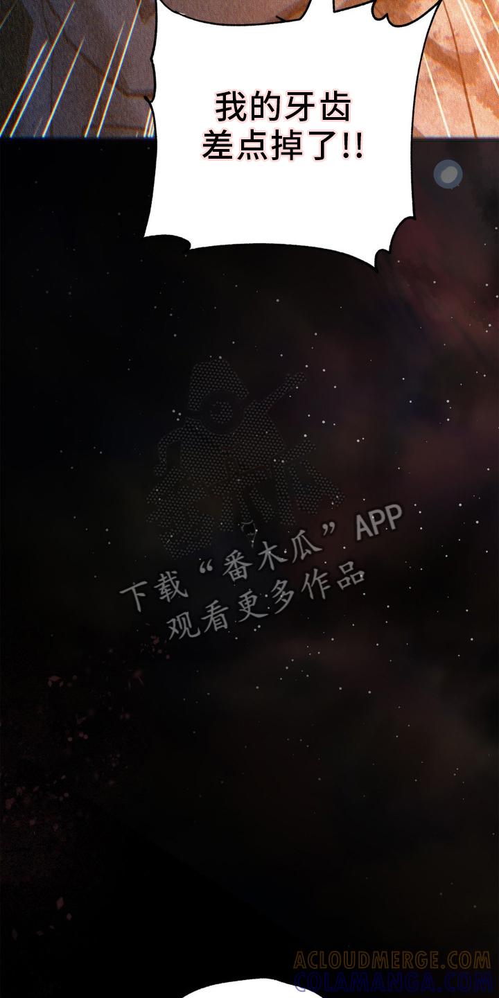 《绝密追缉》第73章：来晚了 第15页