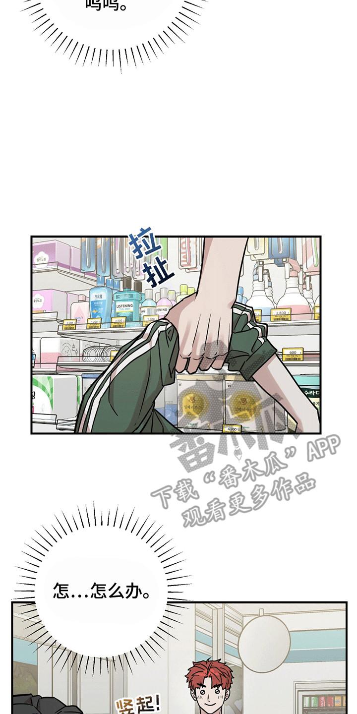 《被不良缠上》第8章：内讧 第14页