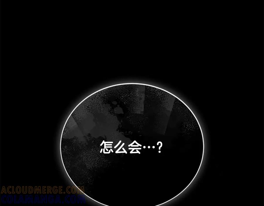 《凡菲尔德的秘密》第14话 恶狼与少年 第165页