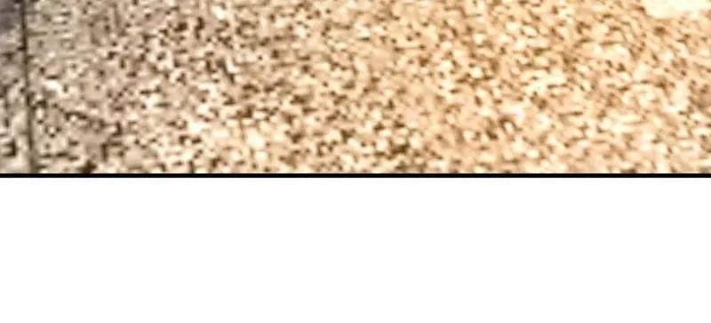 第一序列 第532话 531 陷阱 第155页