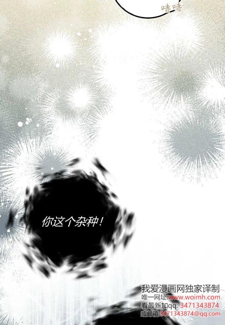《黑豹家族的雪豹宝宝》第10话 第51页