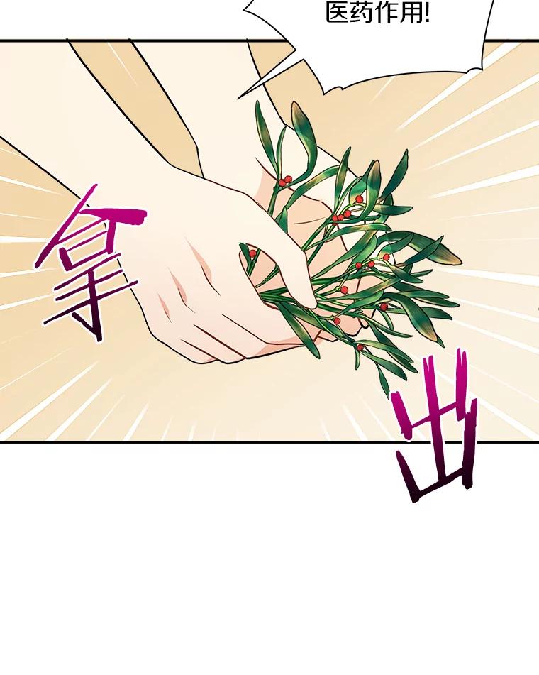 《狼犬男主的驯养师》10.一定要买这块地 第65页