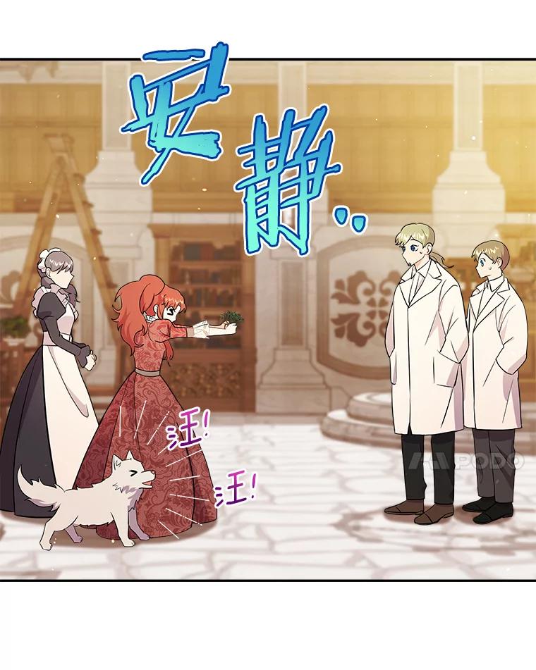 《狼犬男主的驯养师》10.一定要买这块地 第66页