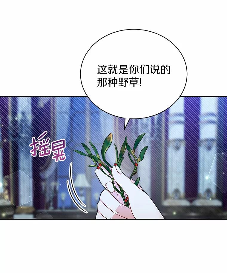 《狼犬男主的驯养师》11.爱丽莎你别走 第3页