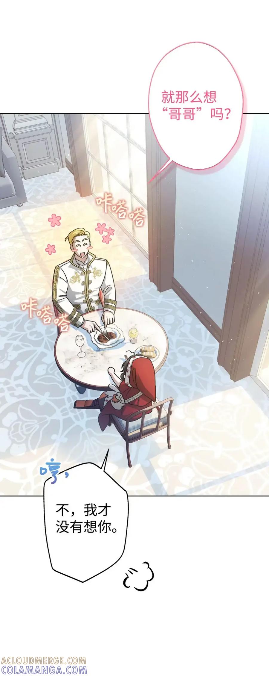 穿越成为暗黑系逆后宫小说男主们的小姨子 - 15 失踪 - 第25张图