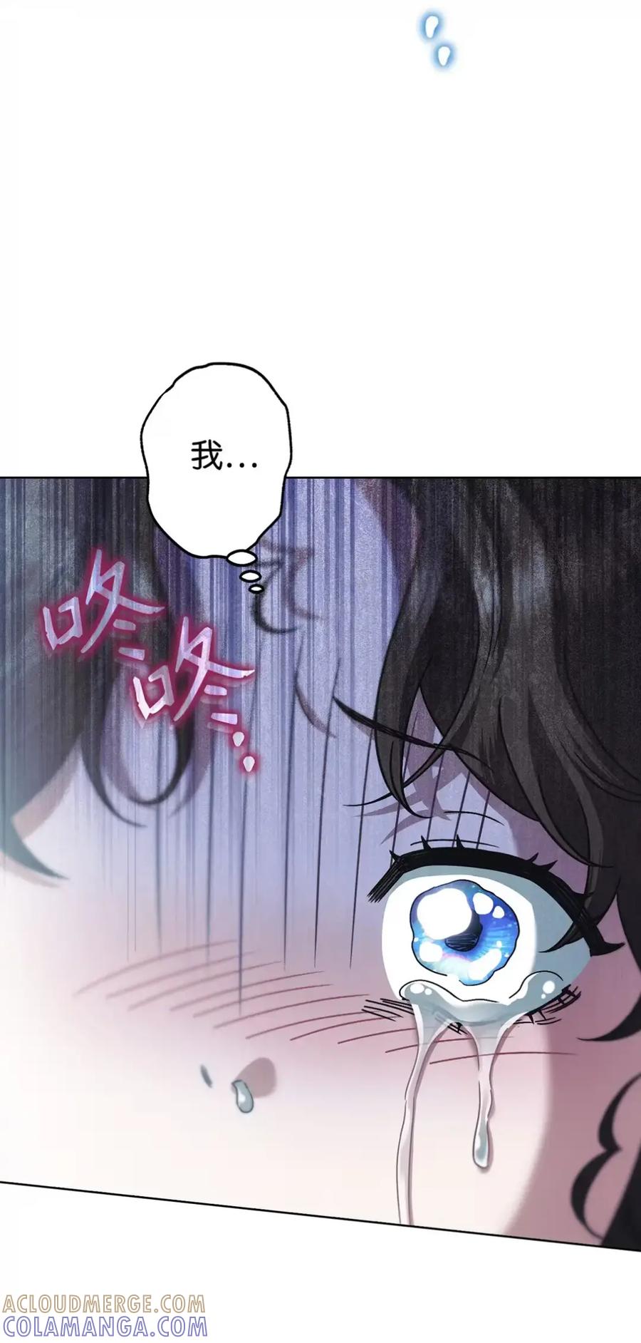 穿越成为暗黑系逆后宫小说男主们的小姨子 - 16 不要抛弃我 - 第41张图