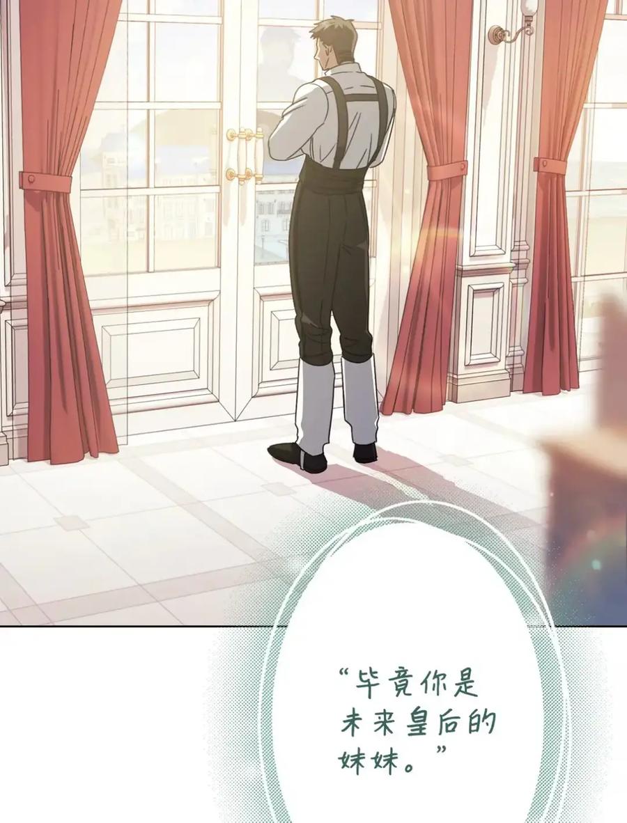 穿越成为暗黑系逆后宫小说男主们的小姨子 - 17 写给哥哥的信 - 第43张图