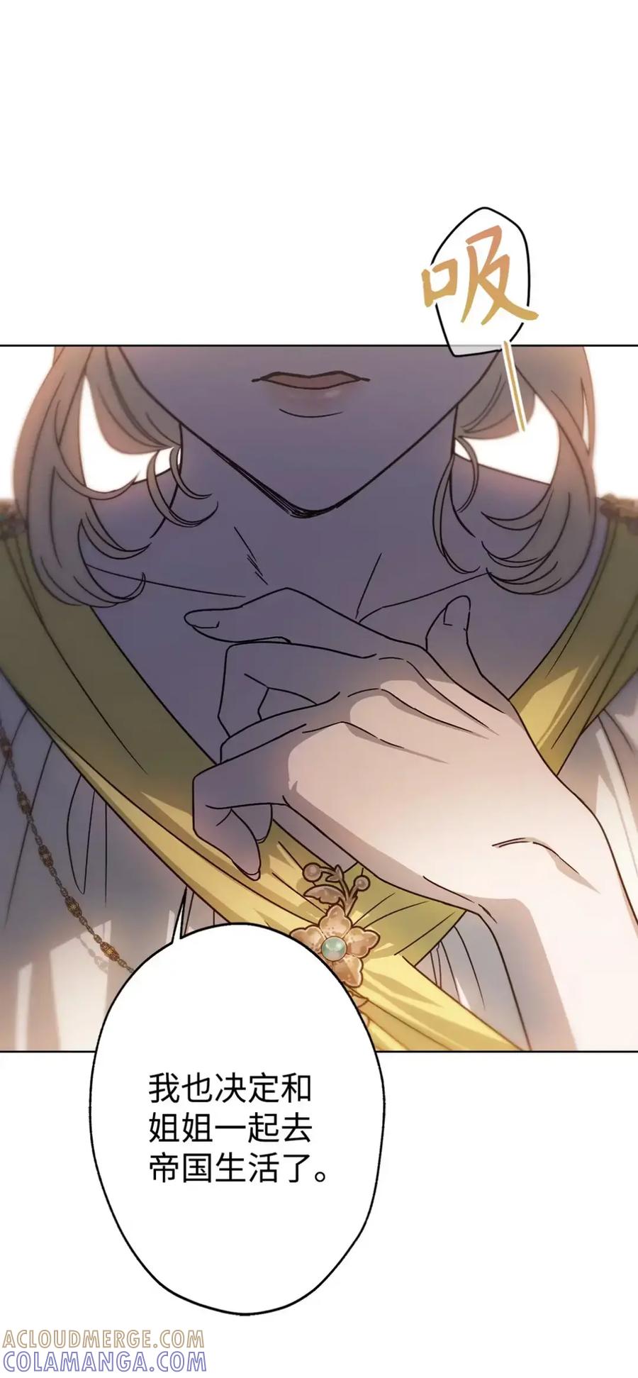 穿越成为暗黑系逆后宫小说男主们的小姨子 - 17 写给哥哥的信 - 第21张图