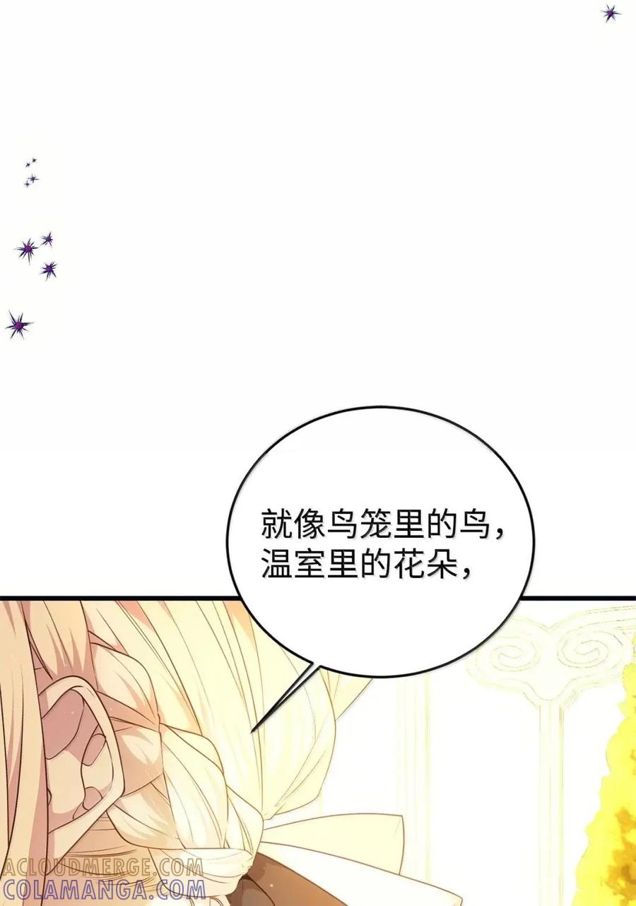 《虽然是魂穿游戏世界里女主的姐粉》62 交心 第61页