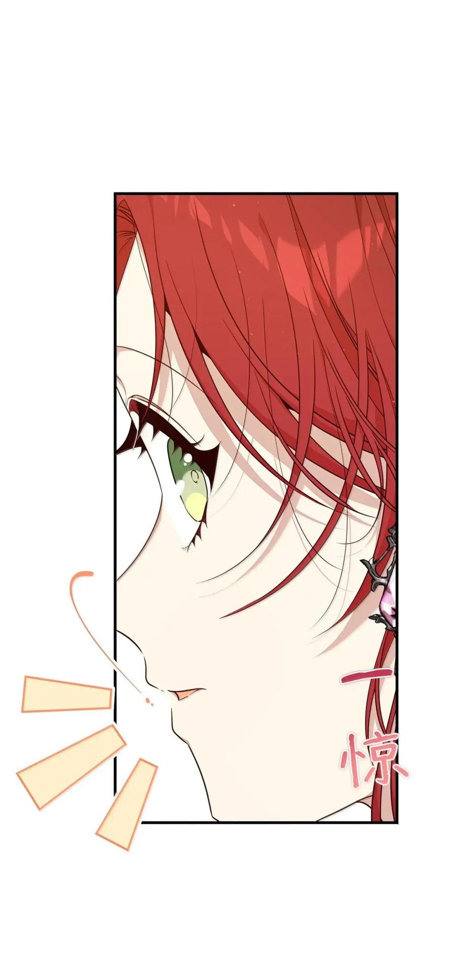 《虽然是魂穿游戏世界里女主的姐粉》63 初遇 第76页