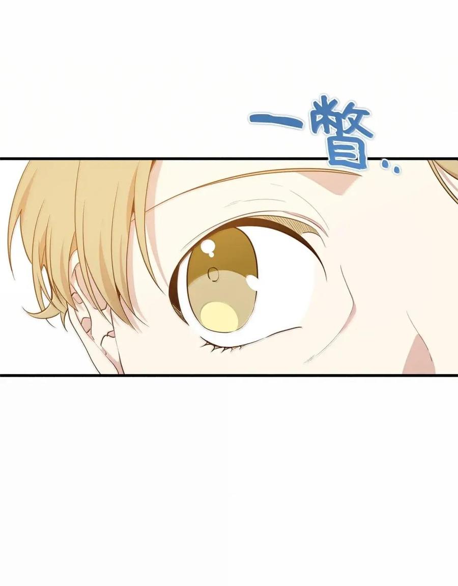 《虽然是魂穿游戏世界里女主的姐粉》63 初遇 第47页
