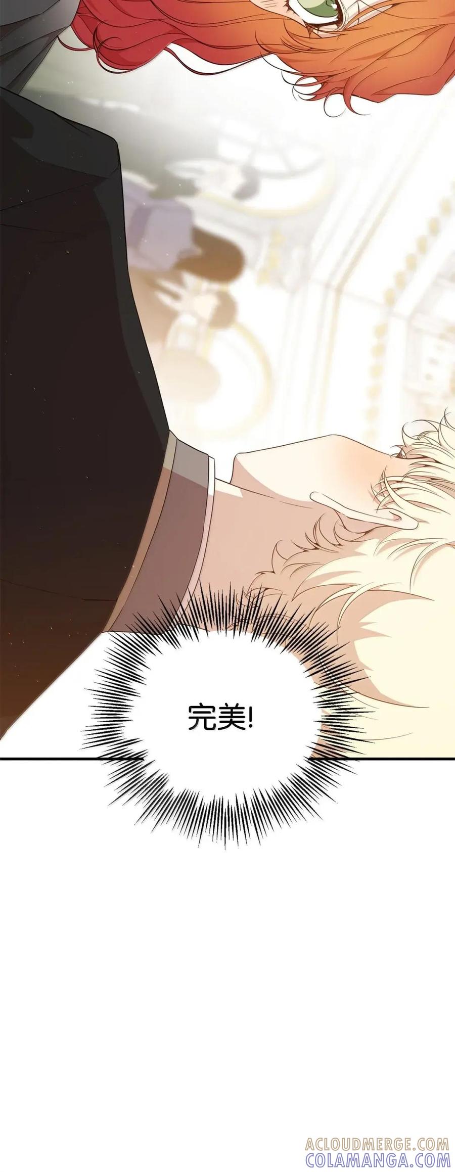 《虽然是魂穿游戏世界里女主的姐粉》63 初遇 第101页