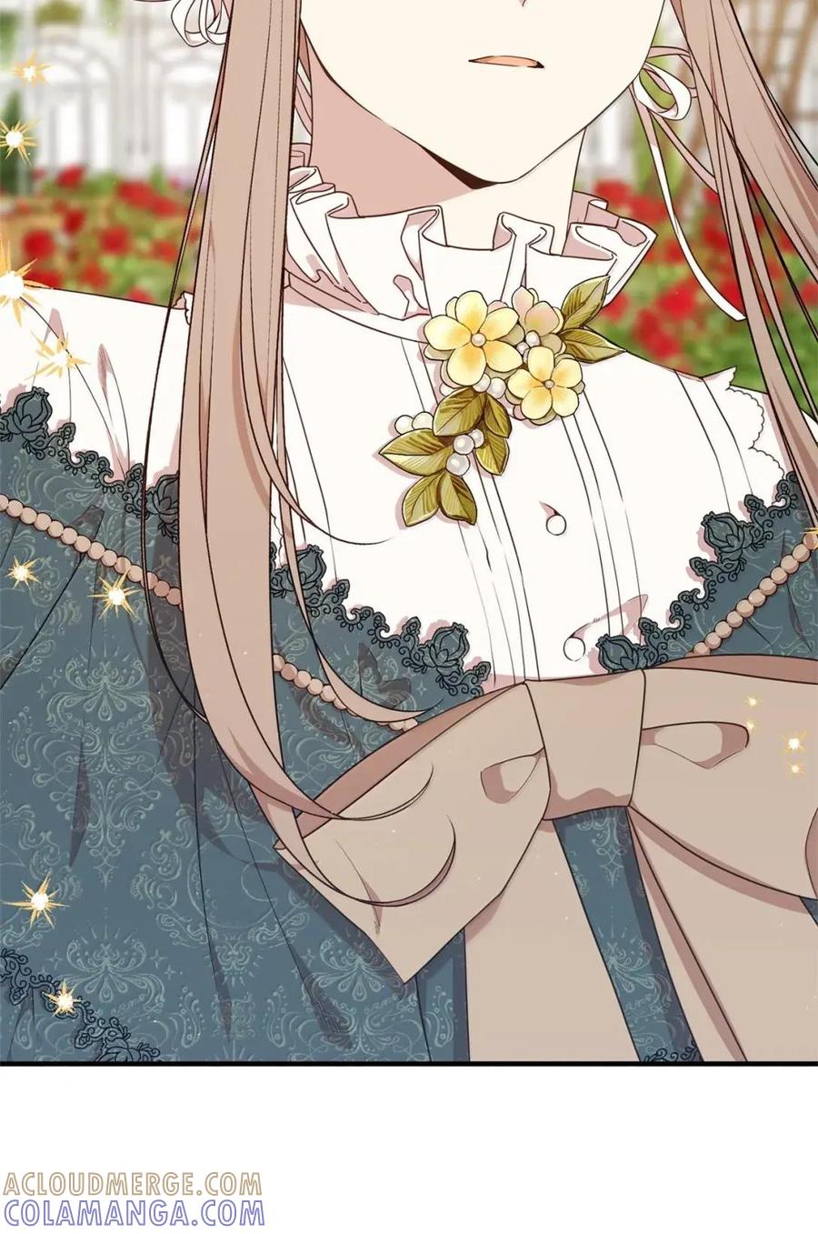 《虽然是魂穿游戏世界里女主的姐粉》63 初遇 第29页