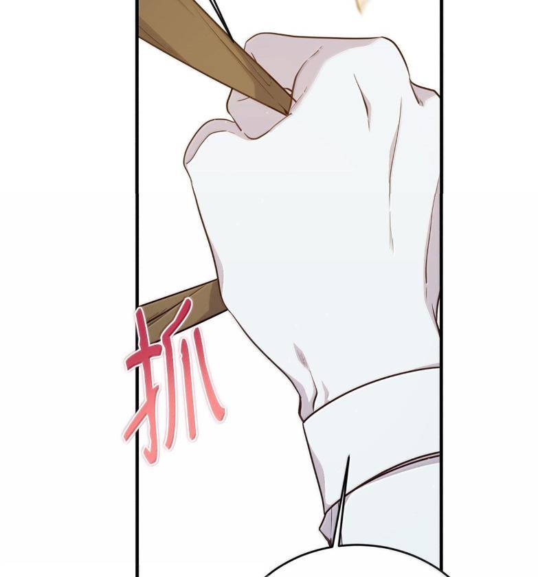 《虽然是魂穿游戏世界里女主的姐粉》72 魔力阻隔 第95页