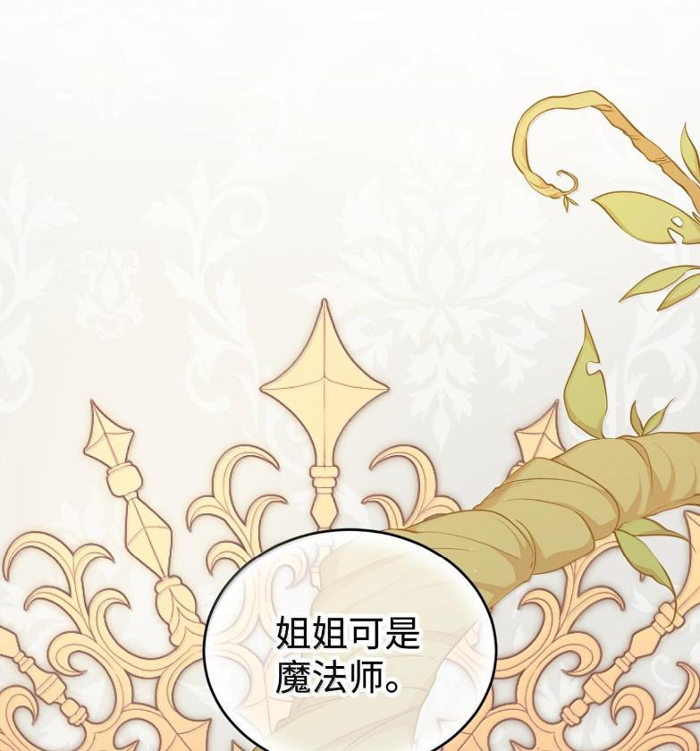 《虽然是魂穿游戏世界里女主的姐粉》72 魔力阻隔 第107页
