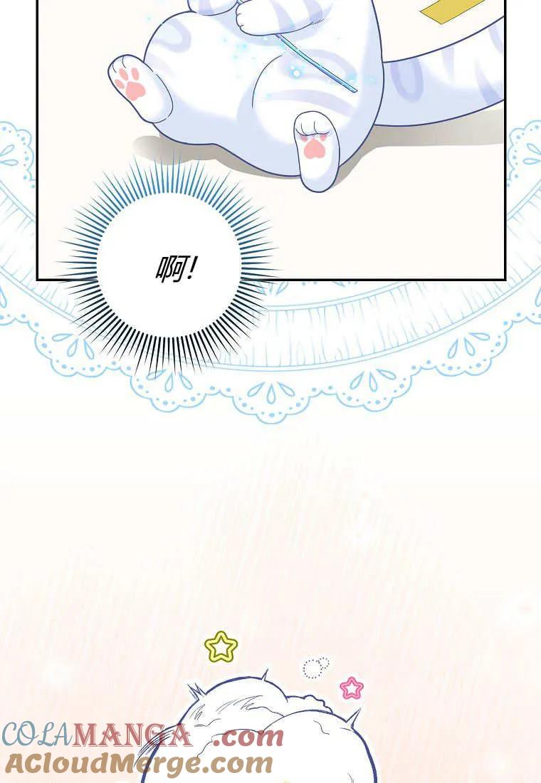 《黑豹家族的雪豹宝宝》第26话 第67页