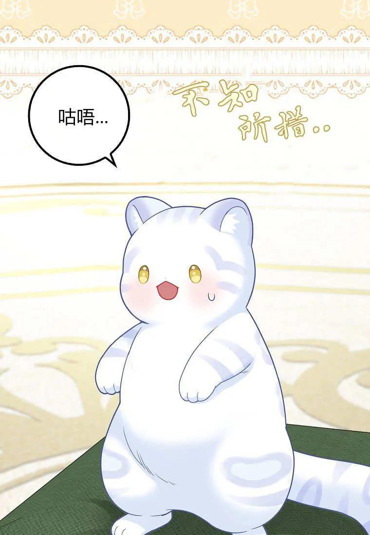 《黑豹家族的雪豹宝宝》第27话 第90页