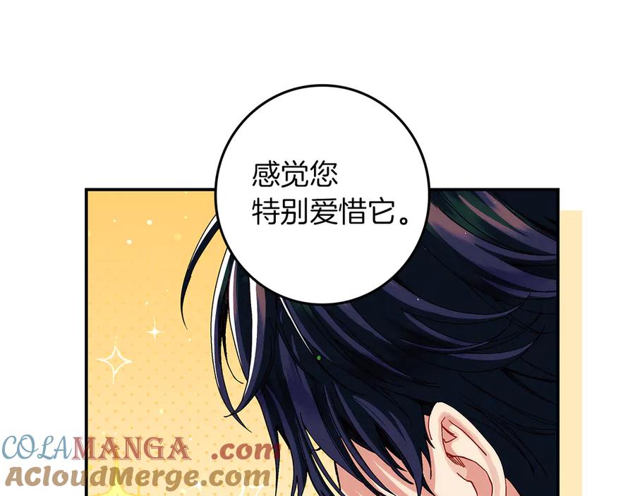 不幸的骑士，请和姐姐恋爱吧 - 第31话 恋人的礼物 - 第217张图