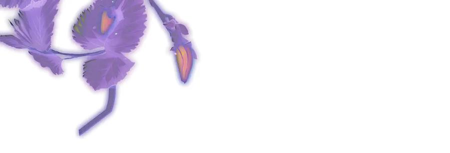 不幸的骑士，请和姐姐恋爱吧 - 第50话 绝不想看到的结局 - 第63张图