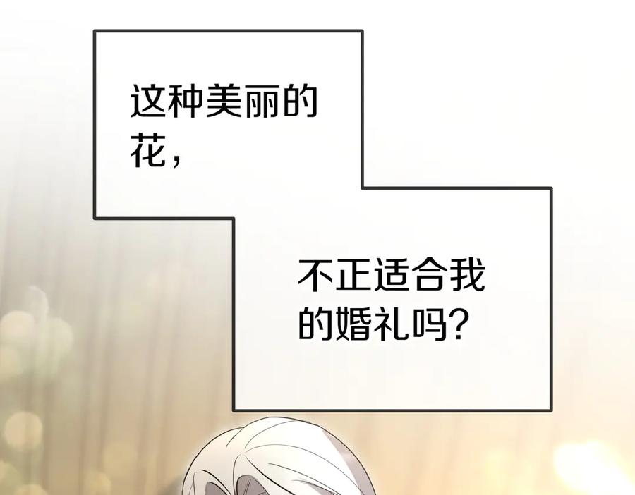 《小姐不愿意》第51话 皆大欢喜 第147页