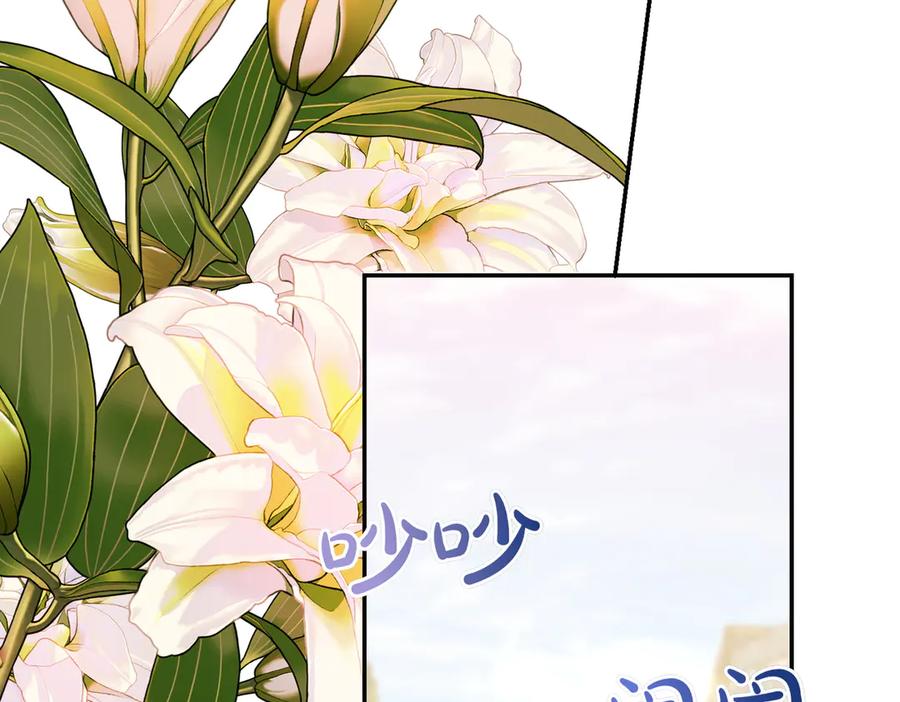 《小姐不愿意》第51话 皆大欢喜 第156页