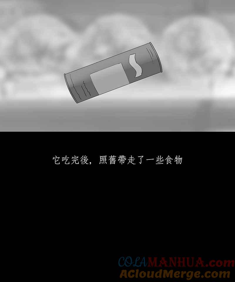 黑盒子 [第99话] 还愿（3） 第22页
